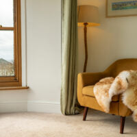 Sheepskin single rug - wolf