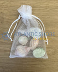 Scented sea shells in an organza presentation bag, ideal for hanging in wardrobes