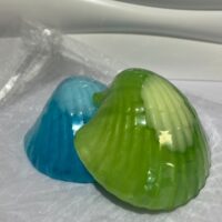 Fragranced Scallop Soap in an organza  gift bag - choose from Lime or Sea Breeze