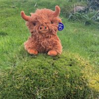Super-soft Hamish The Highland Cow Plushie