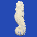 Sea Breeze fragranced Seahorse Wall Plaque