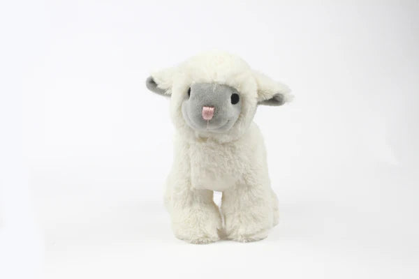 Dolly the Lamb soft toy