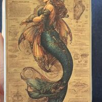 Vintage Style Decorative Storage Tins – Mermaid or Sardine