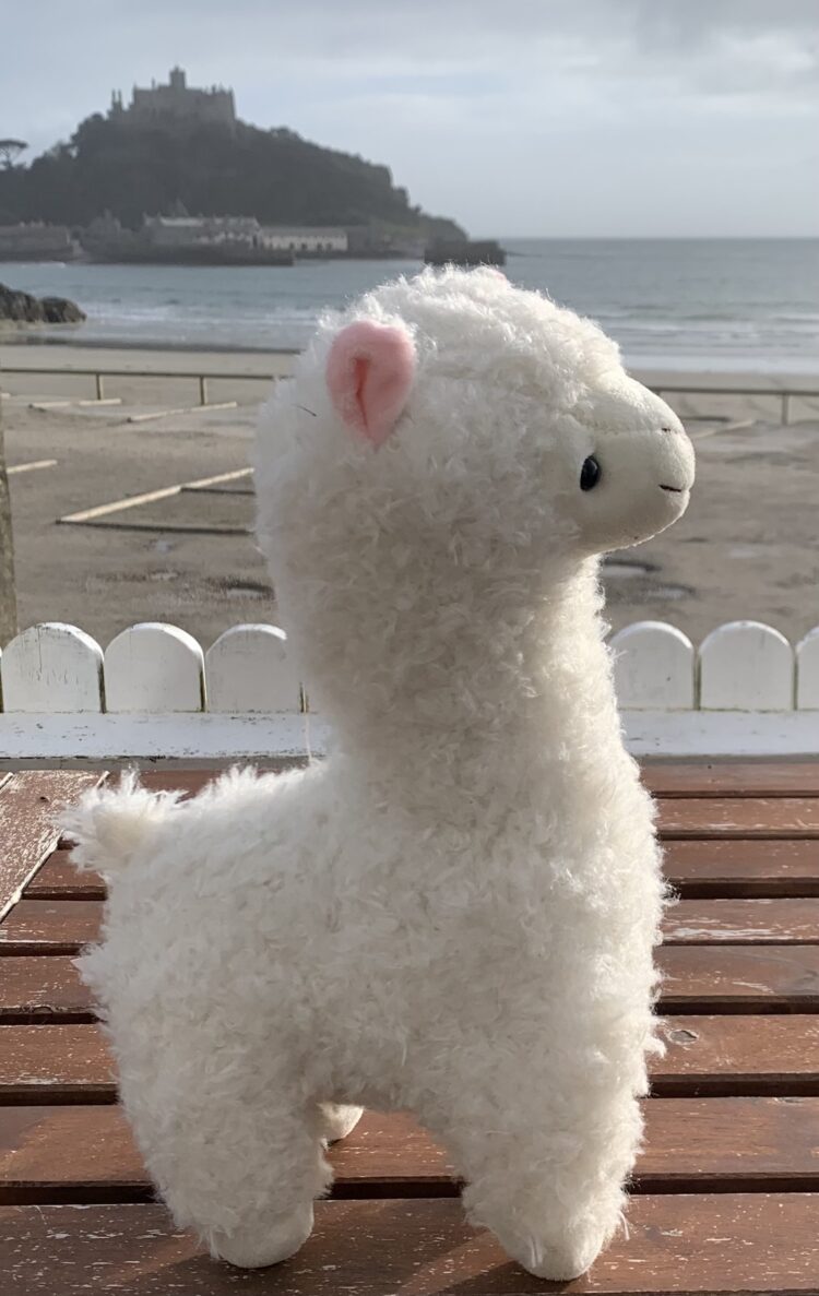 Cuddly Toy Llama